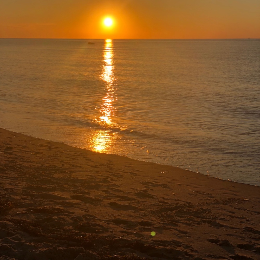 Meet your Posher, Dolly